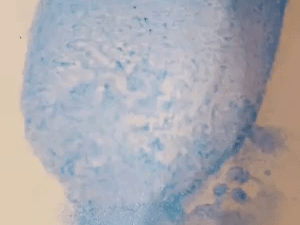 Toilet Bombs 1