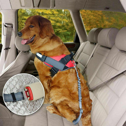 Dog Seat Belt Protects 1