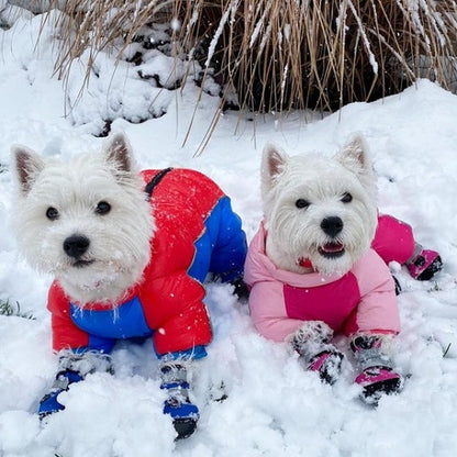 Dog Winter Jumpsuit 1