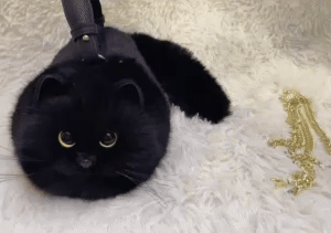 3D Cat Bag 1