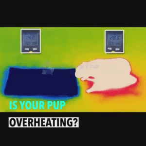 Pet Cooling Mat 1