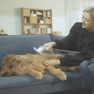 Pro Pet Grooming Kit 1