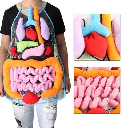 Anatomy Apron 1