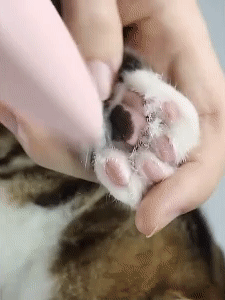 FACE AND PAW HAIR TRIMMER 1