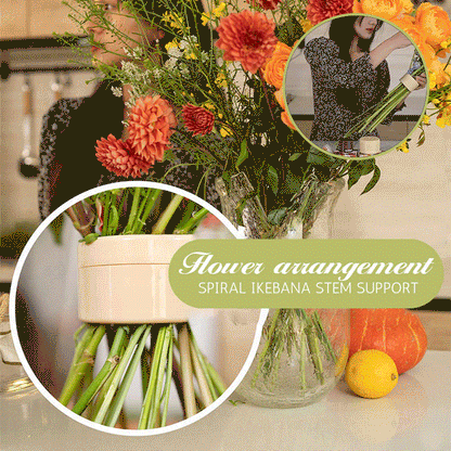 Spiral Ikebana Stem Holder 1
