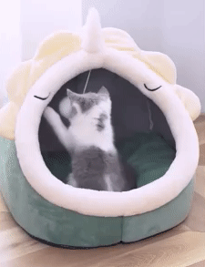 Sweet Cat Bed 1