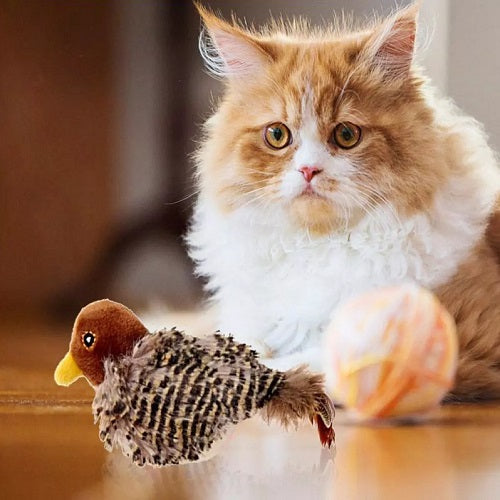Singing Sparrow Shaped Bird  Cat Toy 1