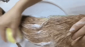Pet Kat Grooming Bad Borstel 1