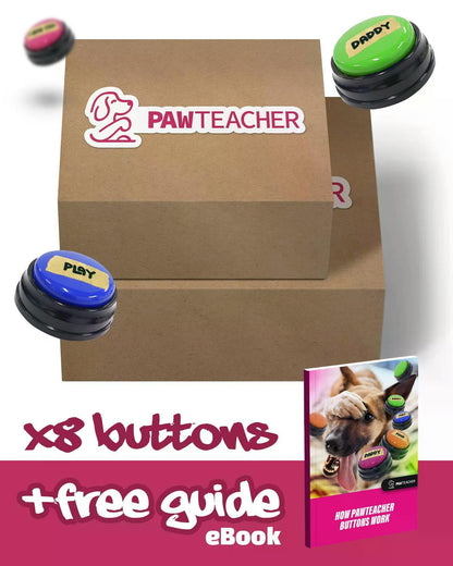 Interactive Dog Personalized Sound Buttons 1