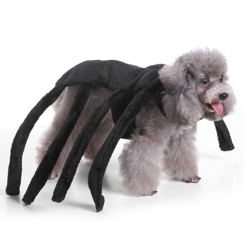 Spider-Dog Costume 1
