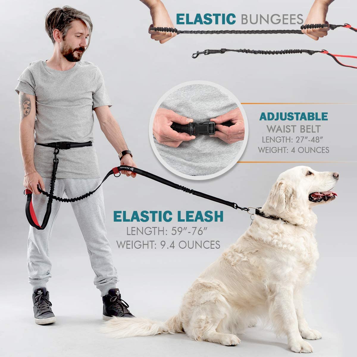 Hands-free Dog Leash/Heavy Duty 1
