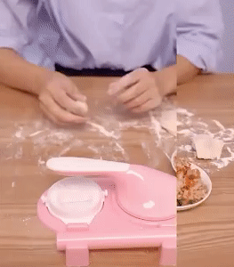 Dumpling Maker 1