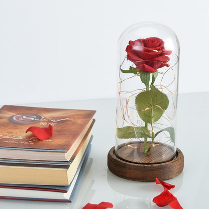 Enchanted Rose Flower 1