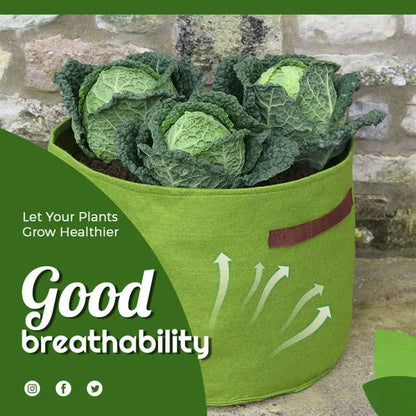 Vegetable Plant Growth Bag 1