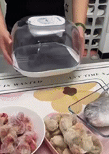 Food Preservation Defroster 1