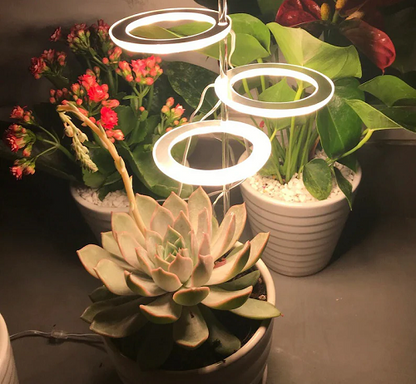 Grow Lights for Indoor Plants-3 Heads 1