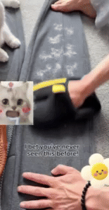 Pet Hair Removal Tool 1