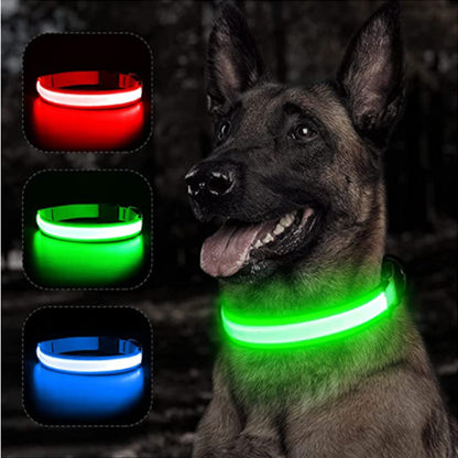 LED Flashing Dog Collar 1