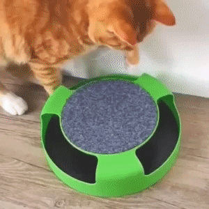Interactive Cat Toy 1