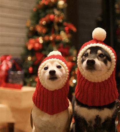 Stylish Pet woollen Hat 1