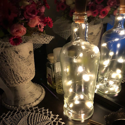 BOTTLE LIGHTS 1