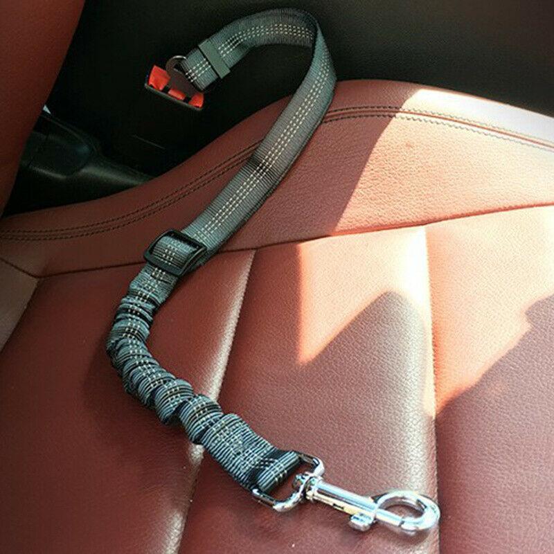 Paw Safe Seat Belt 1
