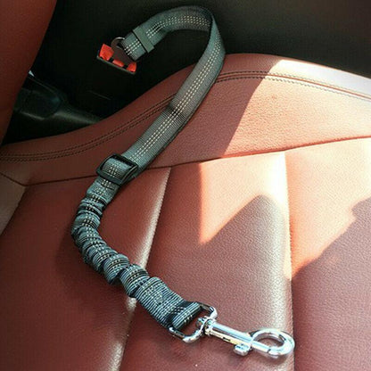 Paw Safe Seat Belt 1