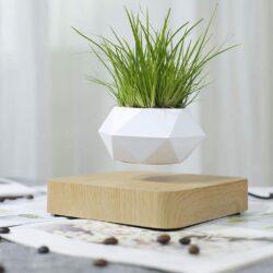 Levitating Plant Pot 1