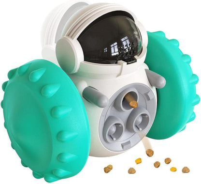 Brainy Bites 1