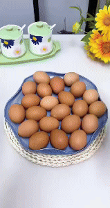 Egg Opener 1