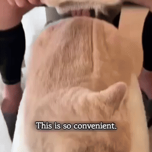 Self-cleaning Pet Flea Comb 1