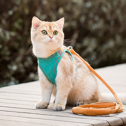 Cat Harness 1