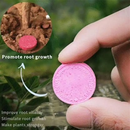 Slow-Release Tablet Organic Fertilizer 1