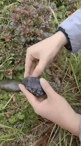 Stone Key Storage 1