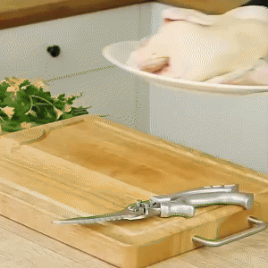 Stainless Steel Bone-Cut Scissors 1