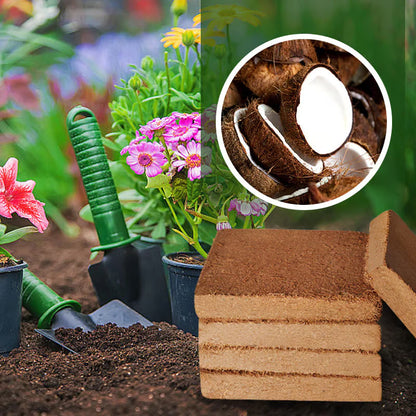 Organic Coconut Coir for Plants- 5PCS 1