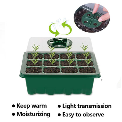 Cultivation Trays 1