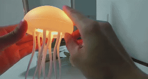 Jellyfish Lamp 1