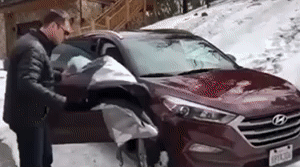 Windshield Snow Cover 1