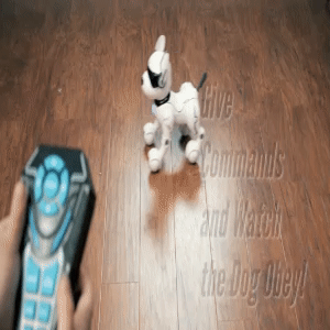 Smart Dog 1