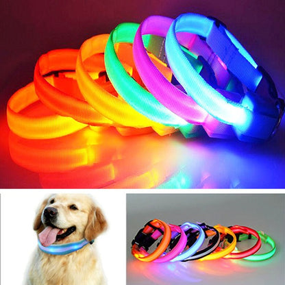 Premium Glow In The Dark LED Dog Safety Collar 1