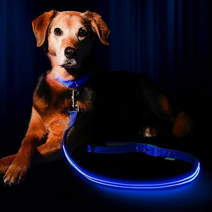 Visibility Leash 1