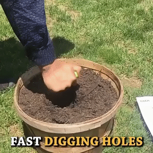 Seedling Easy Transplanter 1
