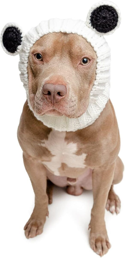 Knit Dog Hoods 1