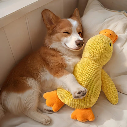 Calming Duck Dog Toy 1
