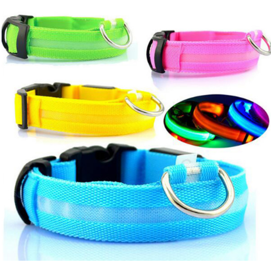 Pet Led Collar 1