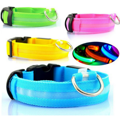 Pet Led Collar 1