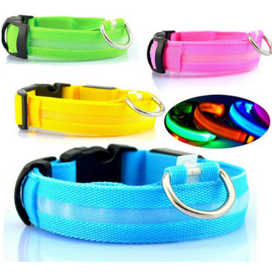 Pet Led Collar 1