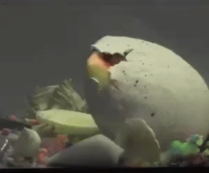 MAGICAL DINO HATCHING EGG IDEAL 1