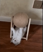 Cat Scratching Ball Toy 1